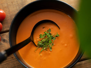 SOUP LADLE