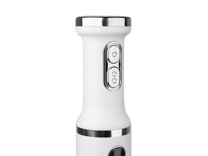 IMMERSION BLENDER - 2